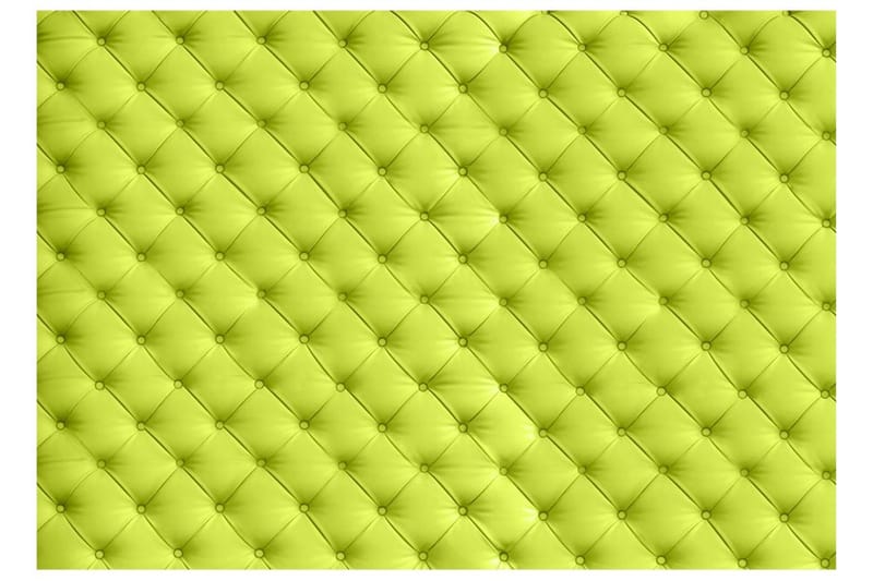 Valokuvatapetti Lime Detente 200x140 - Artgeist sp. z o. o. - Sisustustuotteet - Seinäkoristeet - Tapetit - Valokuvatapetit