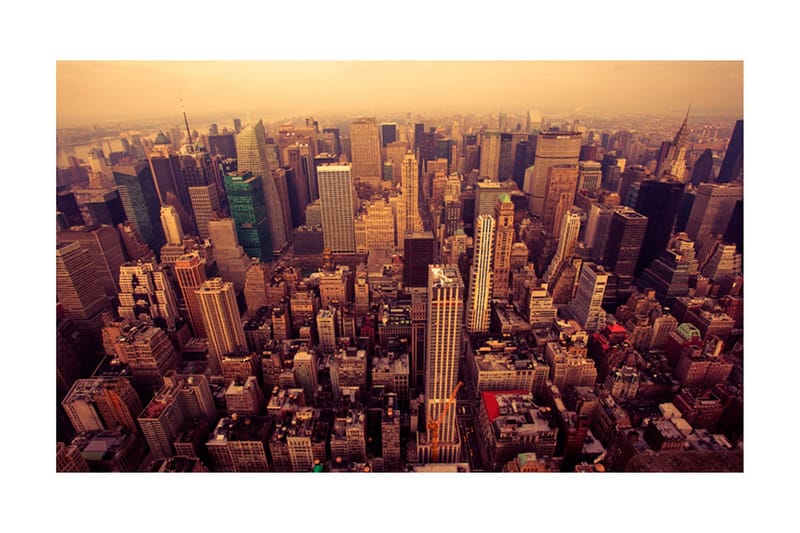 Valokuvatapetti Lintujen katselua Manhattan 450x270, Artgeist sp. z o. o.