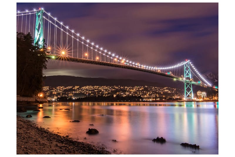 Valokuvatapetti Lions Gate Bridge Vancouver Canada 250x193, Artgeist sp. z o. o.