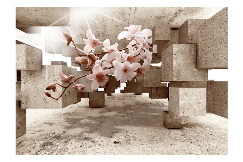 Valokuvatapetti Little Miracles 400x280 - Artgeist sp. z o. o. - Sisustustuotteet - Seinäkoristeet - Tapetit - Valokuvatapetit