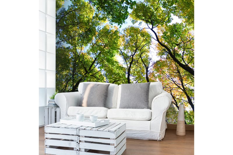 Valokuvatapetti Looking Up At The Trees 400x309, Artgeist sp. z o. o.