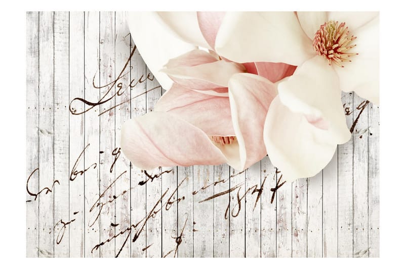 Valokuvatapetti Love Letter 150x105 - Artgeist sp. z o. o. - Sisustustuotteet - Seinäkoristeet - Tapetit - Valokuvatapetit