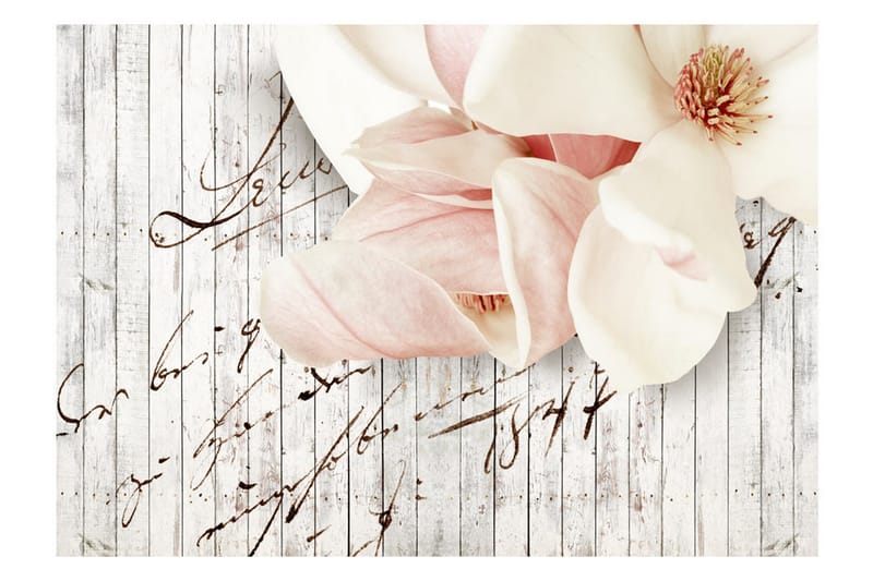 Valokuvatapetti Love Letter 150x105 - Artgeist sp. z o. o. - Sisustustuotteet - Seinäkoristeet - Tapetit - Valokuvatapetit