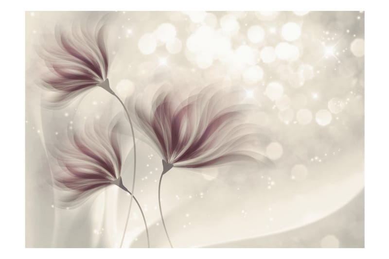 Valokuvatapetti Luminous Morning 150x105 - Artgeist sp. z o. o. - Sisustustuotteet - Seinäkoristeet - Tapetit - Valokuvatapetit