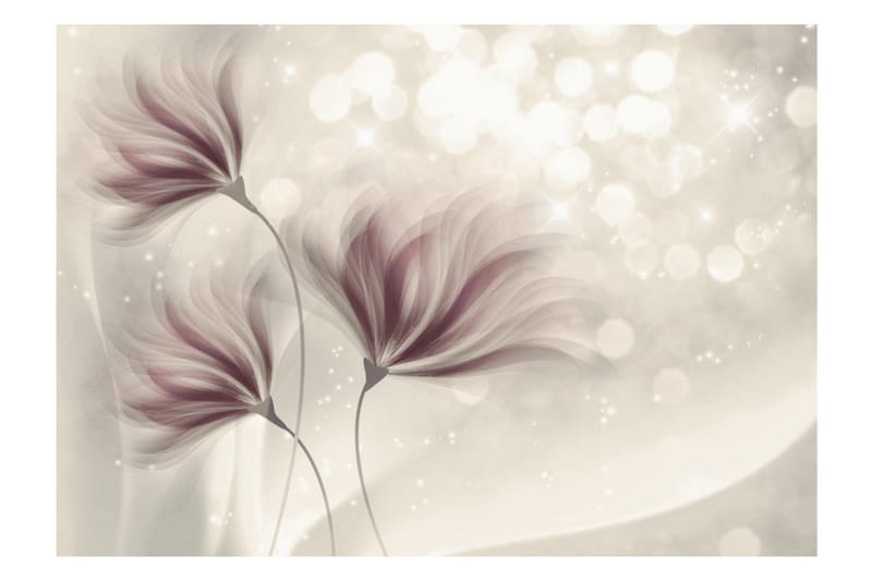 Valokuvatapetti Luminous Morning 350x245 - Artgeist sp. z o. o. - Sisustustuotteet - Seinäkoristeet - Tapetit - Valokuvatapetit