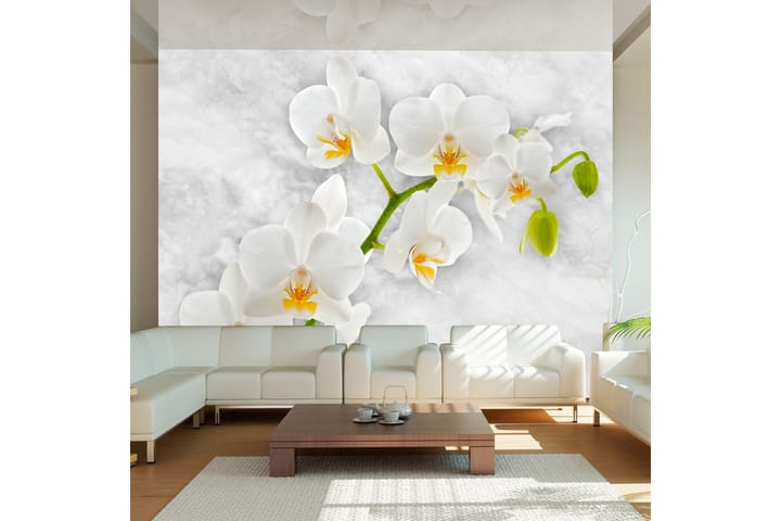 Valokuvatapetti Lyrical Orchid White 300x210 - Artgeist sp. z o. o. - Valokuvatapetit