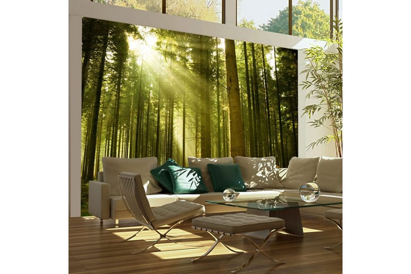 Valokuvatapetti Mäntymetsä 350x270 - Artgeist sp. z o. o. - Sisustustuotteet - Seinäkoristeet - Tapetit - Valokuvatapetit