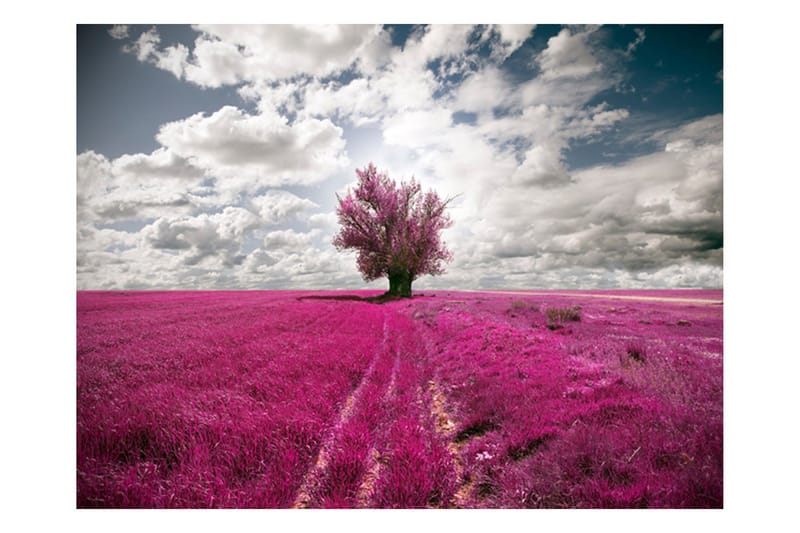 Valokuvatapetti Magenta Niitty 400x309, Artgeist sp. z o. o.