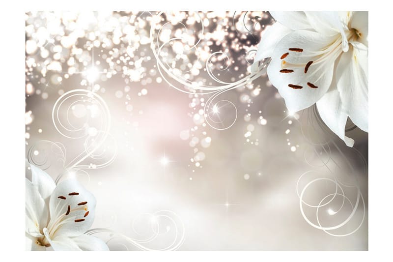 Valokuvatapetti Magic Composition 250x175 - Artgeist sp. z o. o. - Sisustustuotteet - Seinäkoristeet - Tapetit - Valokuvatapetit