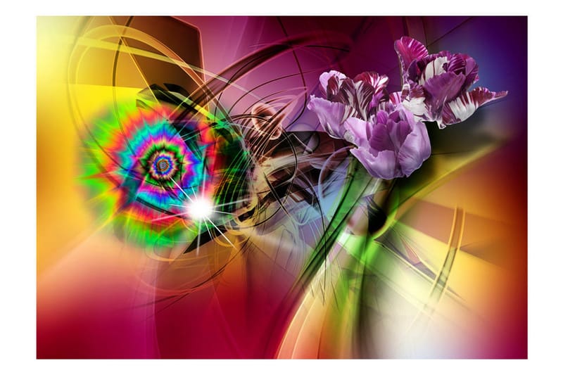Valokuvatapetti Magic Light Of Colors 100x70 - Artgeist sp. z o. o. - Sisustustuotteet - Seinäkoristeet - Tapetit - Valokuvatapetit