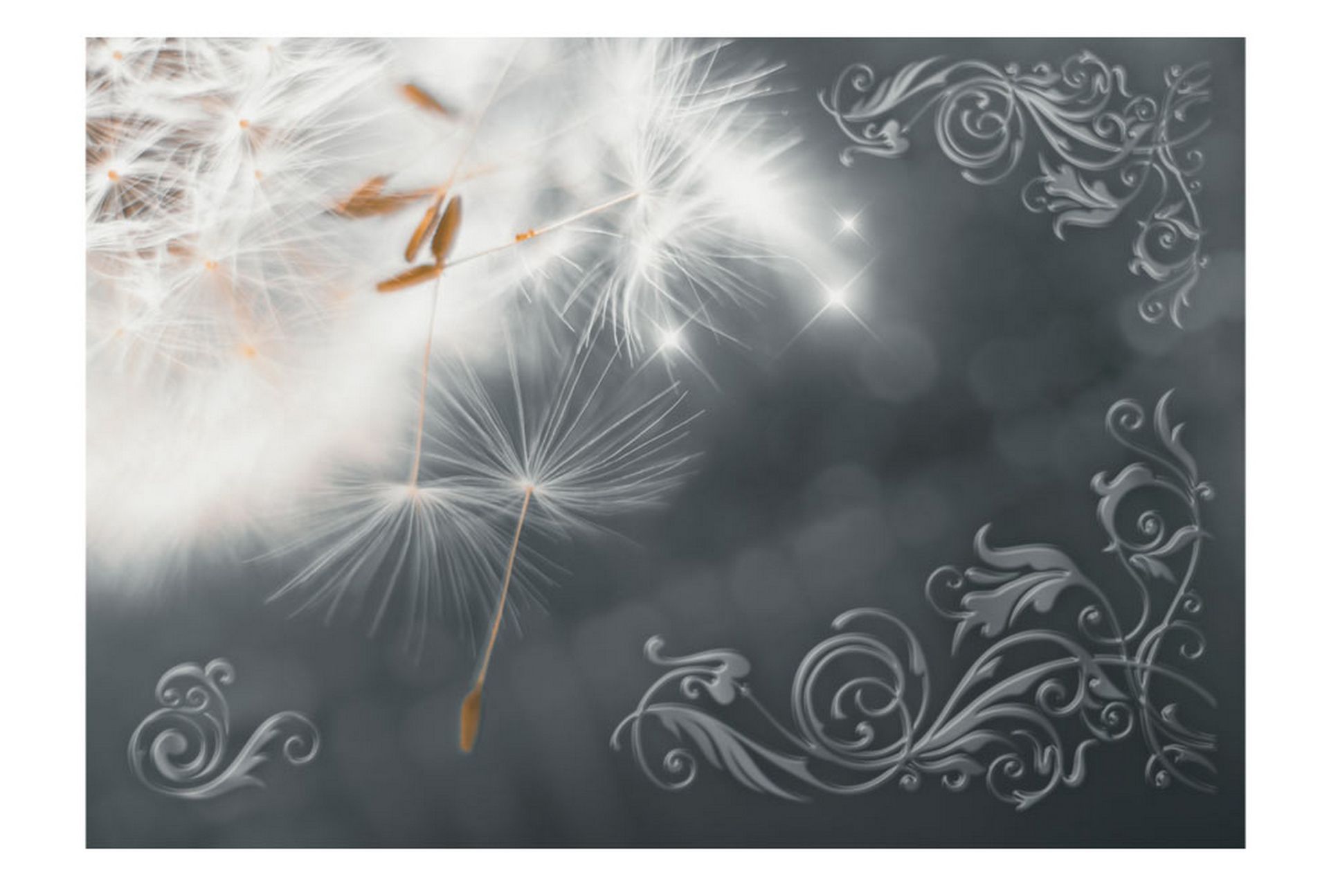 Valokuvatapetti Magic Of Gentleness 250x175 - Artgeist sp. z o. o. - Sisustustuotteet - Seinäkoristeet - Tapetit - Valokuvatapetit