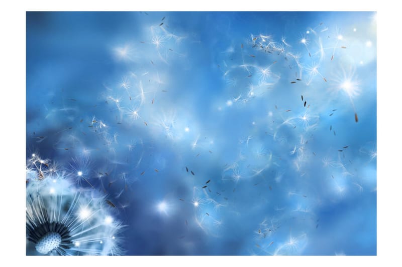 Valokuvatapetti Magic Of Nature 350x245 - Artgeist sp. z o. o. - Sisustustuotteet - Seinäkoristeet - Tapetit - Valokuvatapetit