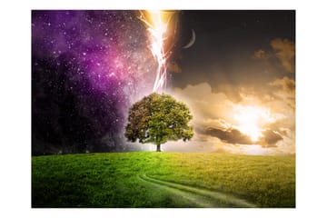 Valokuvatapetti Magic Tree 200x154 - Artgeist sp. z o. o. - Sisustustuotteet - Seinäkoristeet - Tapetit - Valokuvatapetit