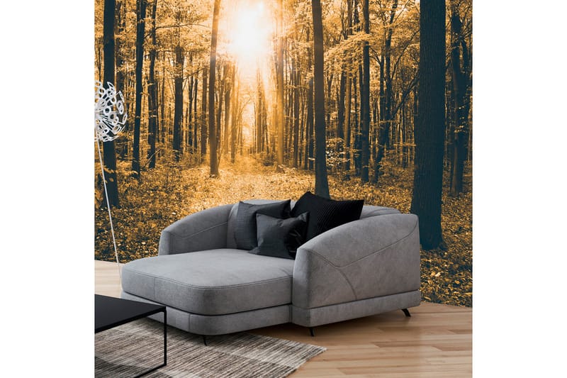 Valokuvatapetti Magical Light 100x70, Artgeist sp. z o. o.