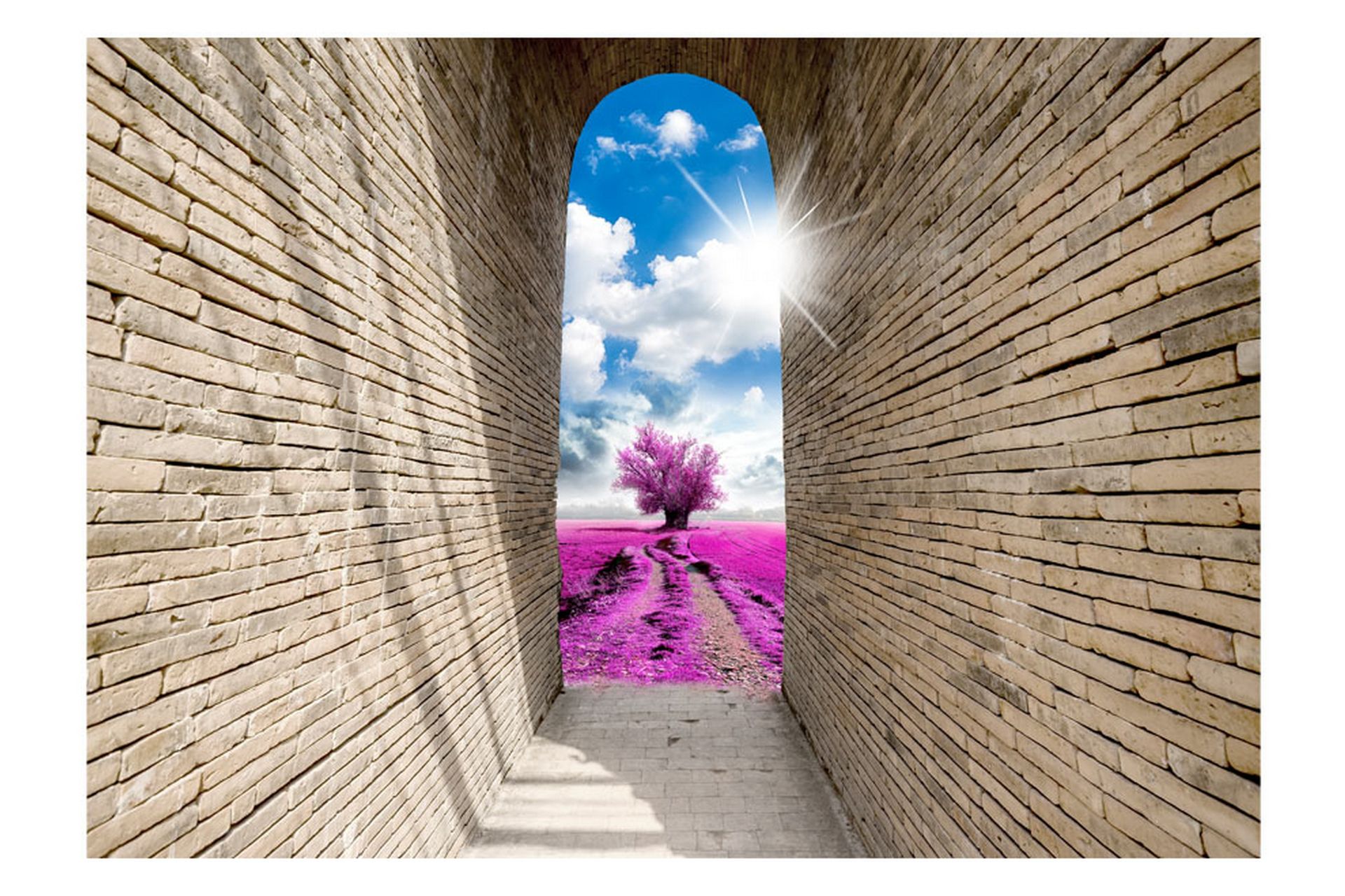 Valokuvatapetti Magical Passage 250x175 - Artgeist sp. z o. o. - Sisustustuotteet - Seinäkoristeet - Tapetit - Valokuvatapetit