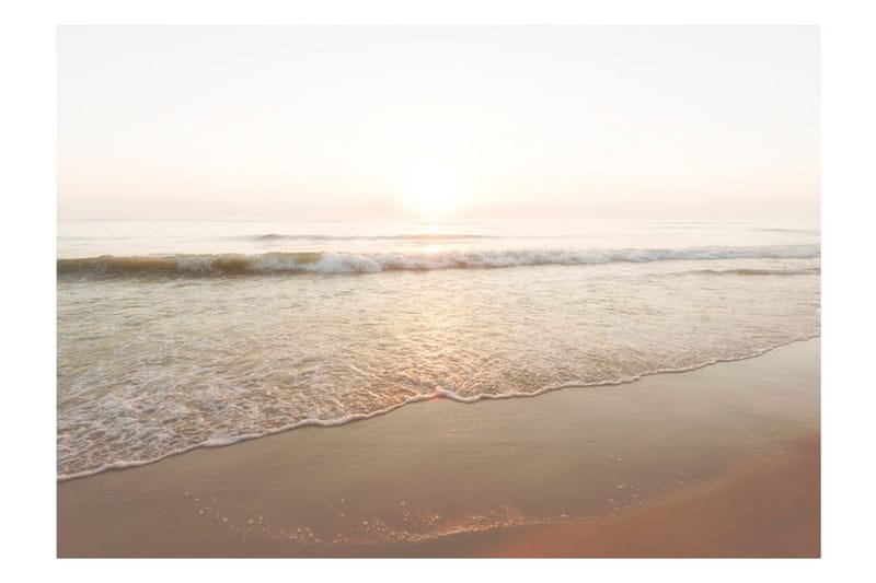 Valokuvatapetti Magnificent Morning 200x140 - Artgeist sp. z o. o. - Sisustustuotteet - Seinäkoristeet - Tapetit - Valokuvatapetit