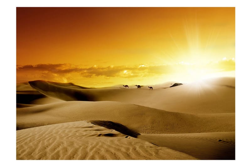 Valokuvatapetti March Of Camels 300x210 - Artgeist sp. z o. o. - Sisustustuotteet - Seinäkoristeet - Tapetit - Valokuvatapetit