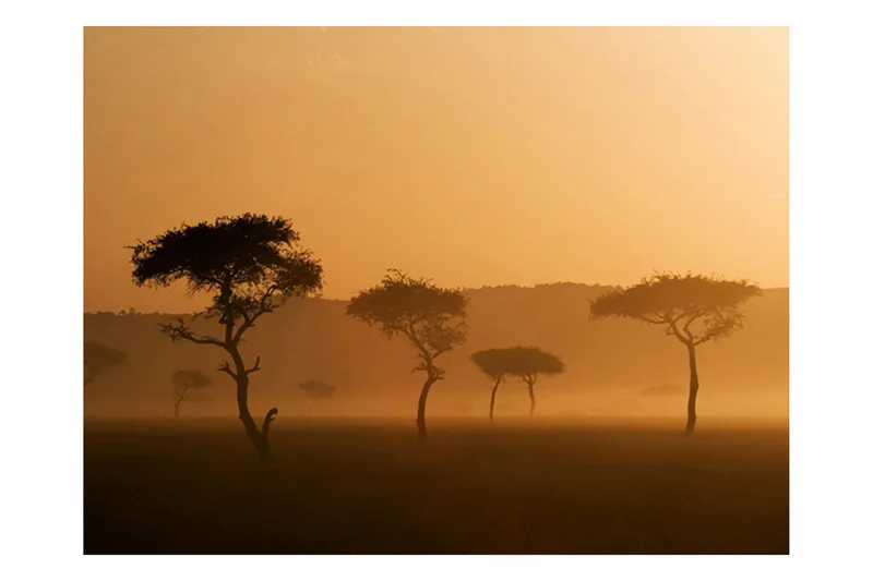 Valokuvatapetti Massai Mara 200x154 - Artgeist sp. z o. o. - Sisustustuotteet - Seinäkoristeet - Tapetit - Valokuvatapetit