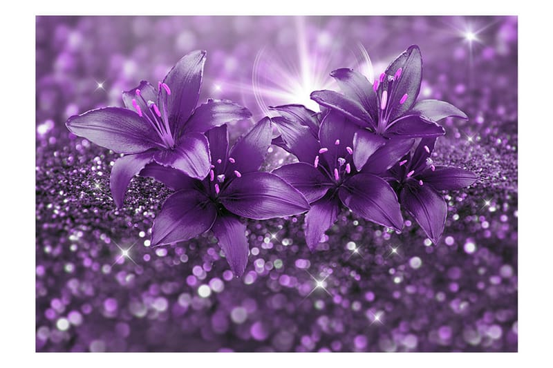 Valokuvatapetti Masterpiece Of Purple 150x105 - Artgeist sp. z o. o. - Sisustustuotteet - Seinäkoristeet - Tapetit - Valokuvatapetit