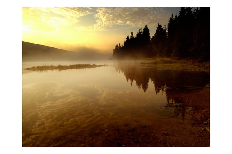 Valokuvatapetti Metsä ja järvi 400x309 - Artgeist sp. z o. o. - Sisustustuotteet - Seinäkoristeet - Tapetit - Valokuvatapetit