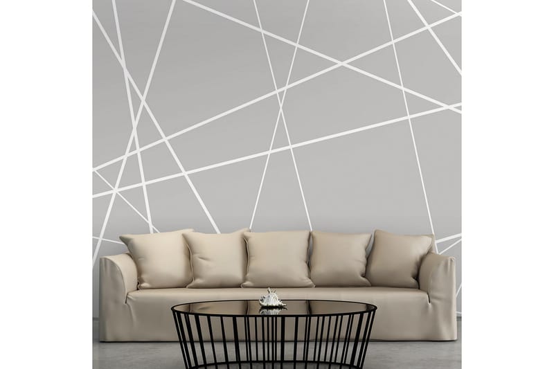 Valokuvatapetti Modern Cobweb 300x210 - Artgeist sp. z o. o. - Sisustustuotteet - Seinäkoristeet - Tapetit - Valokuvatapetit