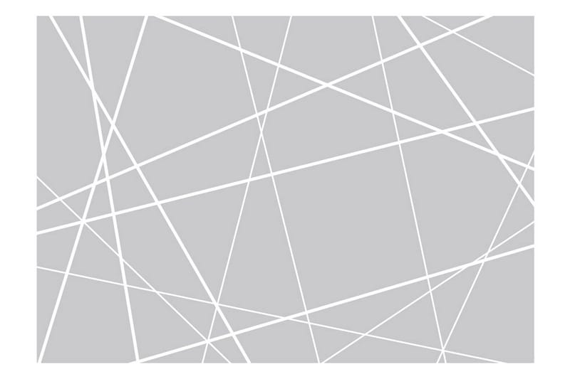 Valokuvatapetti Modern Cobweb 350x245 - Artgeist sp. z o. o. - Sisustustuotteet - Seinäkoristeet - Tapetit - Valokuvatapetit