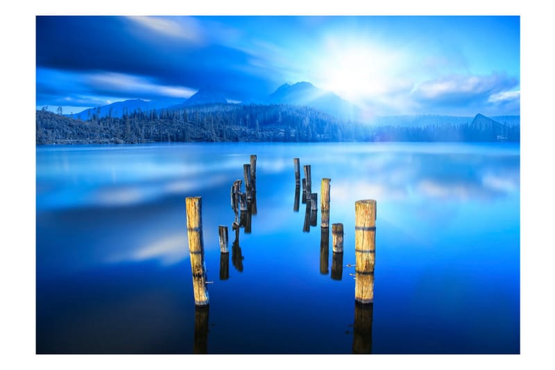 Valokuvatapetti Moments Of Solitude 400x280 - Artgeist sp. z o. o. - Sisustustuotteet - Seinäkoristeet - Tapetit - Valokuvatapetit