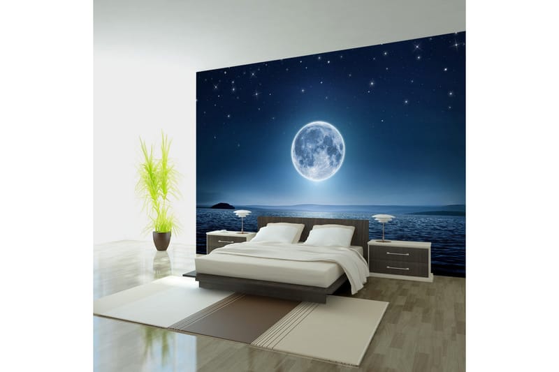 Valokuvatapetti Moonlit Night 100x70, Artgeist sp. z o. o.