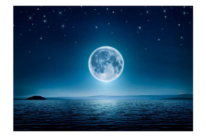 Valokuvatapetti Moonlit Night 100x70 - Artgeist sp. z o. o. - Sisustustuotteet - Seinäkoristeet - Tapetit - Valokuvatapetit