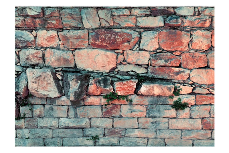 Valokuvatapetti Morning Dance 100x70 - Artgeist sp. z o. o. - Sisustustuotteet - Seinäkoristeet - Tapetit - Valokuvatapetit