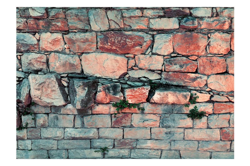 Valokuvatapetti Morning Dance 100x70 - Artgeist sp. z o. o. - Sisustustuotteet - Seinäkoristeet - Tapetit - Valokuvatapetit