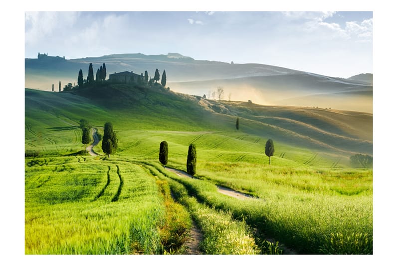 Valokuvatapetti Morning In The Countryside 100x70, Artgeist sp. z o. o.