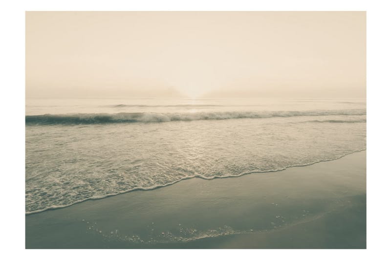 Valokuvatapetti Morning Kiss 200x140 - Artgeist sp. z o. o. - Sisustustuotteet - Seinäkoristeet - Tapetit - Valokuvatapetit