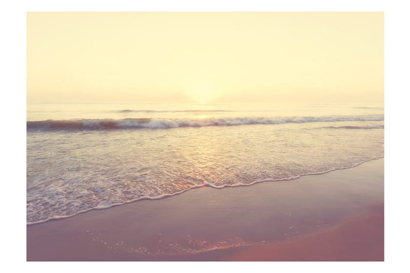 Valokuvatapetti Morning On The Beach 200x140 - Artgeist sp. z o. o. - Sisustustuotteet - Seinäkoristeet - Tapetit - Valokuvatapetit