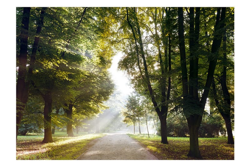 Valokuvatapetti Morning Walk 200x140 - Artgeist sp. z o. o. - Sisustustuotteet - Seinäkoristeet - Tapetit - Valokuvatapetit