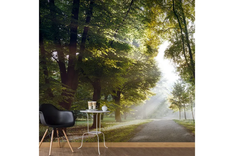 Valokuvatapetti Morning Walk 350x245, Artgeist sp. z o. o.