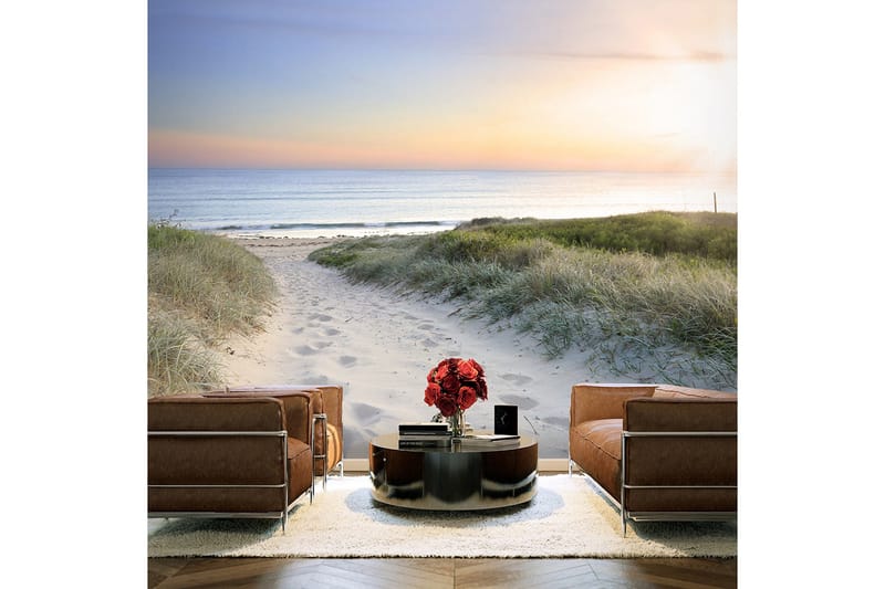 Valokuvatapetti Morning Walk On The Beach 300x210 - Artgeist sp. z o. o. - Sisustustuotteet - Seinäkoristeet - Tapetit - Valokuvatapetit