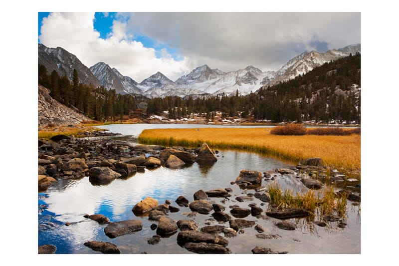 Valokuvatapetti Mountain Stream 300x231, Artgeist sp. z o. o.