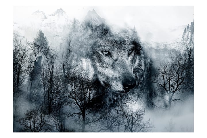 Valokuvatapetti Mountain Predator Black And White 100x70 - Artgeist sp. z o. o. - Valokuvatapetit