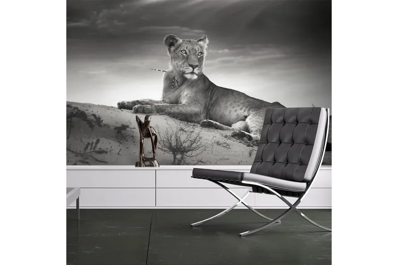 Valokuvatapetti Musta ja valkoinen Lejoninna 300x231, Artgeist sp. z o. o.