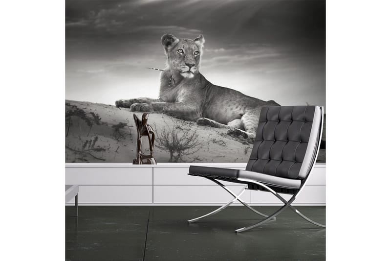 Valokuvatapetti Mustavalkoinen Leijona 250x193, Artgeist sp. z o. o.