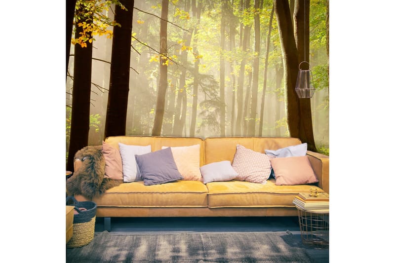 Valokuvatapetti Mysterious Forest Path 350x270, Artgeist sp. z o. o.