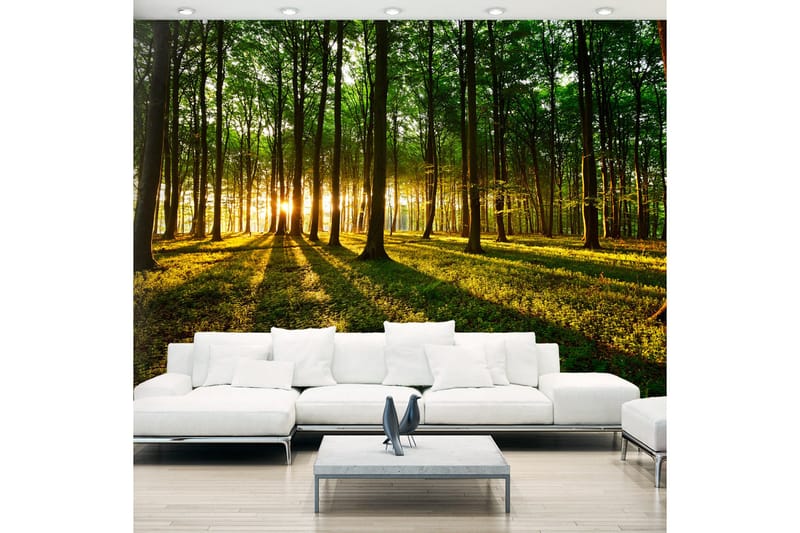Valokuvatapetti Mystical Morning 200x140, Artgeist sp. z o. o.
