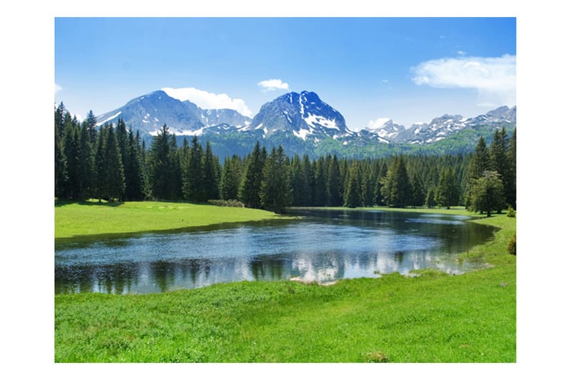 Valokuvatapetti National Park Durmitor Montenegro 200x154 - Artgeist sp. z o. o. - Valokuvatapetit