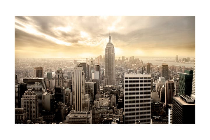 Valokuvatapetti New York Manhattan Auringonnousu 450x270 - Artgeist sp. z o. o. - Valokuvatapetit