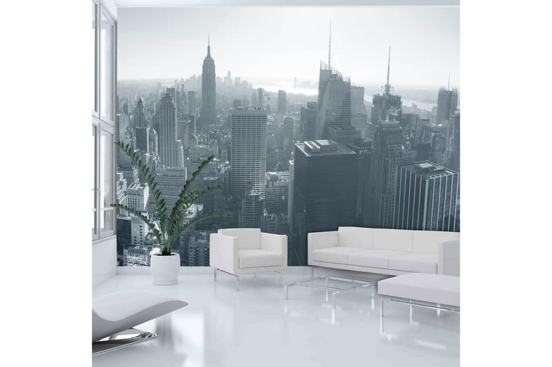 Valokuvatapetti New York Skyline Mustavalkoinen 250x193 - Artgeist sp. z o. o. - Sisustustuotteet - Seinäkoristeet - Tapetit - Valokuvatapetit