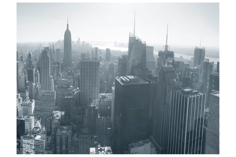 Valokuvatapetti New York Skyline Mustavalkoinen 250x193 - Artgeist sp. z o. o. - Sisustustuotteet - Seinäkoristeet - Tapetit - Valokuvatapetit