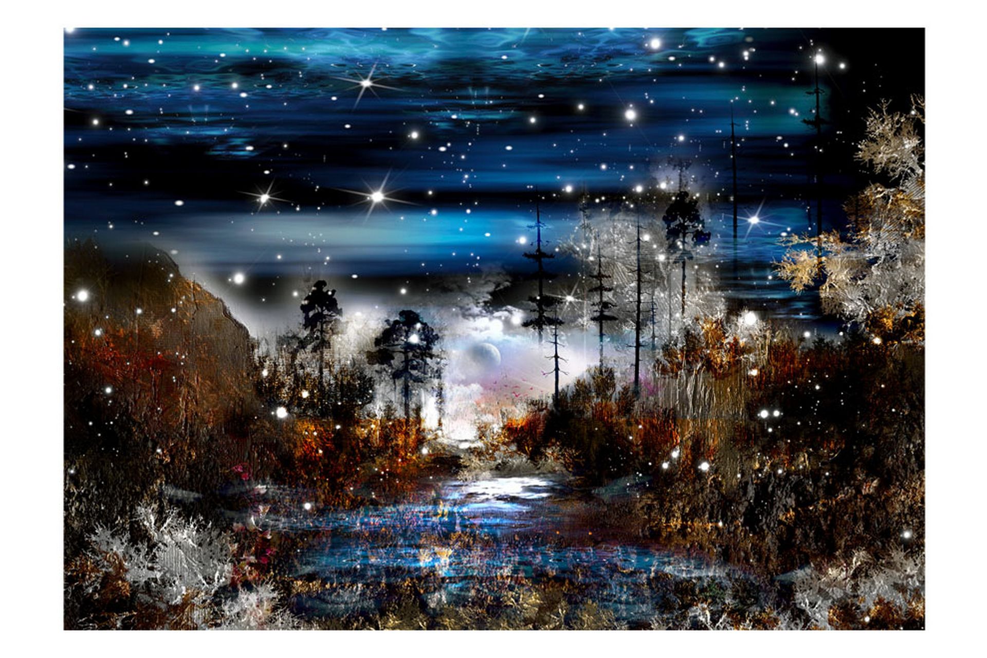 Valokuvatapetti Night In The Forest 300x210 - Artgeist sp. z o. o. - Sisustustuotteet - Seinäkoristeet - Tapetit - Valokuvatapetit