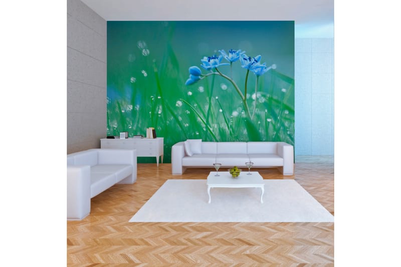 Valokuvatapetti Niitty sarastuksessa 300x231 - Artgeist sp. z o. o. - Sisustustuotteet - Seinäkoristeet - Tapetit - Valokuvatapetit