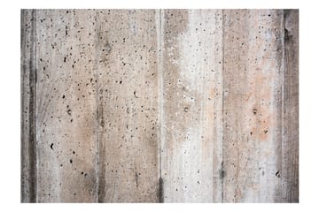 Valokuvatapetti Old Concrete 300x210 - Artgeist sp. z o. o. - Sisustustuotteet - Seinäkoristeet - Tapetit - Valokuvatapetit
